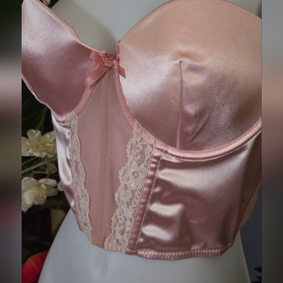 Sexy Powder Pink Lace Silky Soft Bustier - Picture 5 of 8